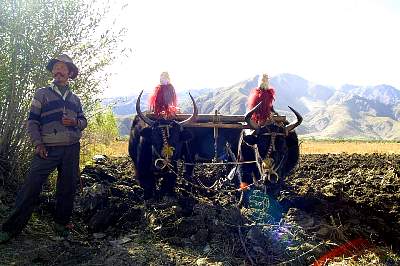 Kairen's_Tibet_48_2001-09-25 10.04.07 IMG_4616.JPG